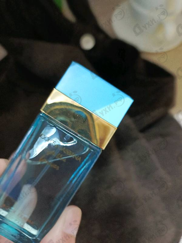 Купить Dolce & Gabbana Light Blue Forever