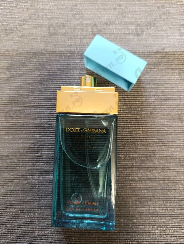 Купить Dolce & Gabbana Light Blue Forever