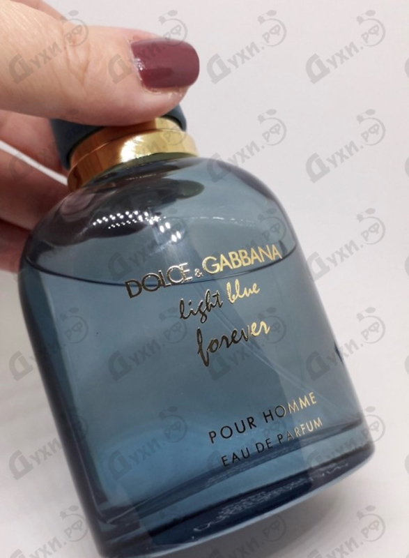 Купить Light Blue Forever от Dolce & Gabbana