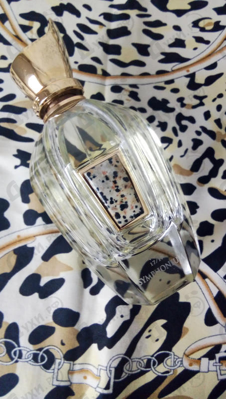 Отзыв Xerjoff Symphonium Parfum Купить Symphonium Parfum от Xerjoff