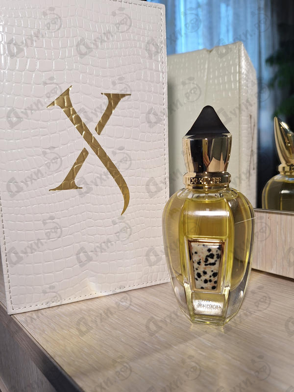 Парфюмерия Symphonium Parfum от Xerjoff
