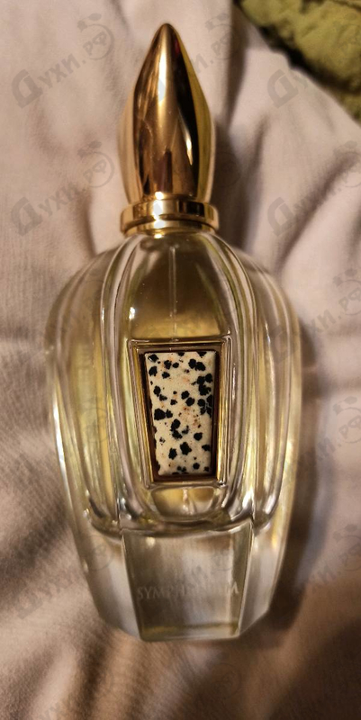Купить Symphonium Parfum от Xerjoff