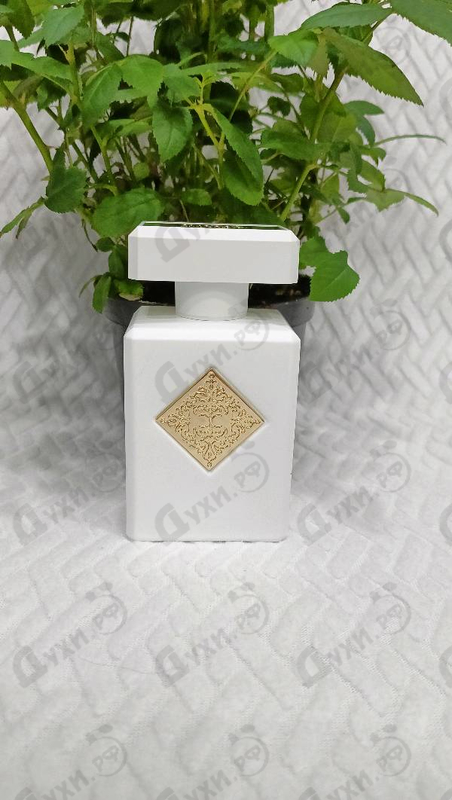 Купить Musk Therapy от Initio