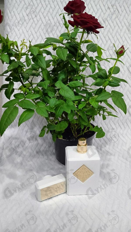 Парфюмерия Musk Therapy от Initio