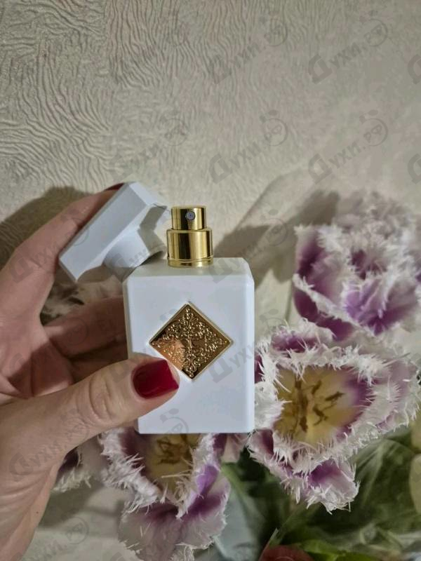 Купить Musk Therapy от Initio