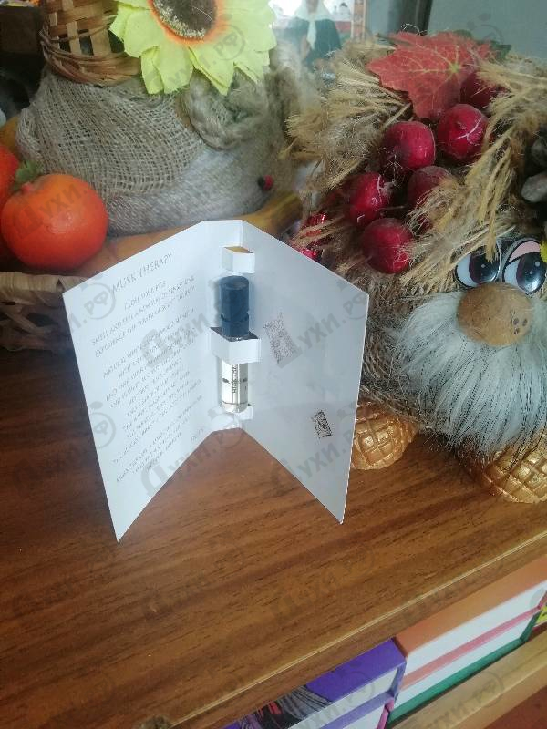 Купить Musk Therapy от Initio