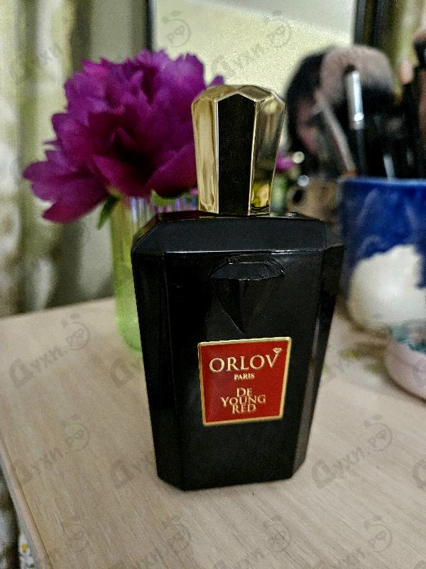 Купить De Young Red от Orlov Paris