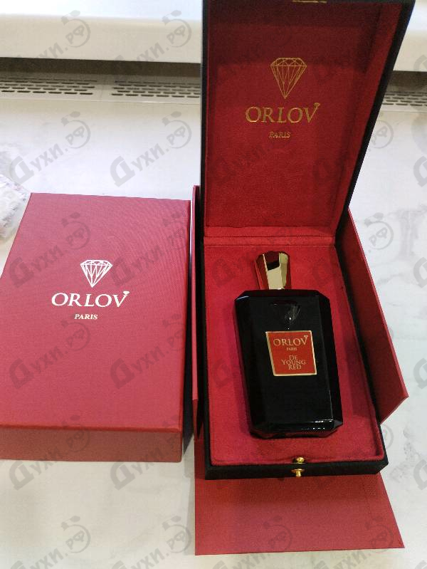Купить De Young Red от Orlov Paris