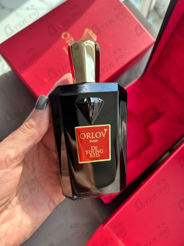 Купить De Young Red от Orlov Paris