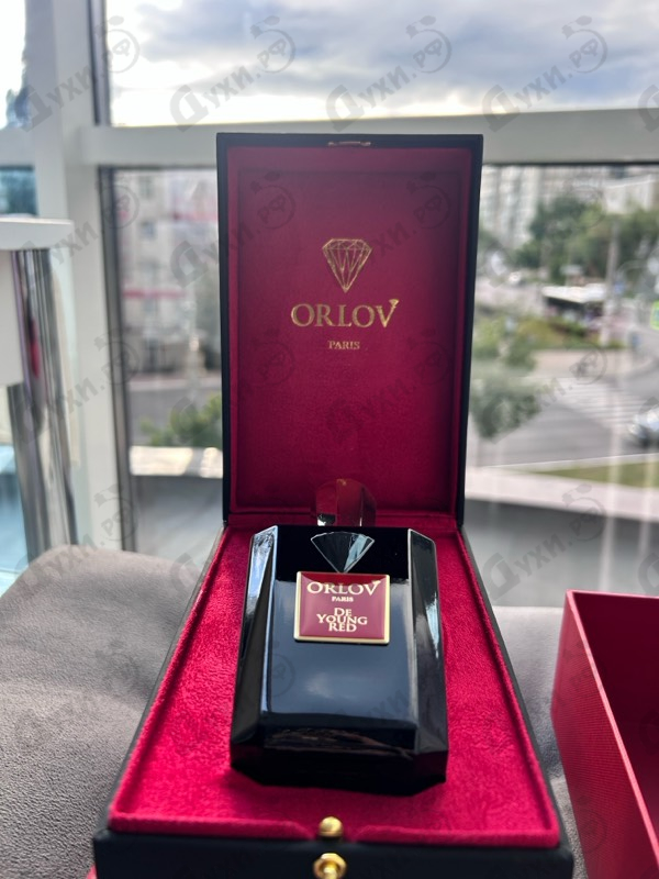 Купить De Young Red от Orlov Paris