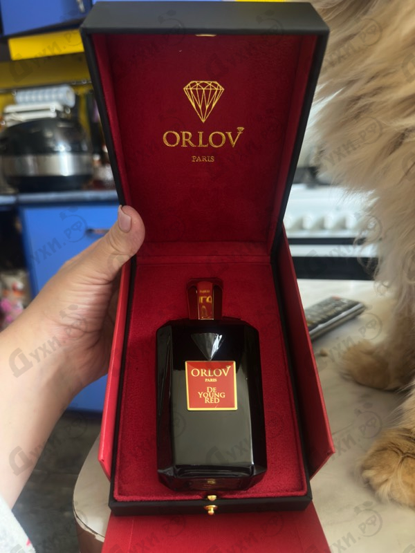 Купить De Young Red от Orlov Paris