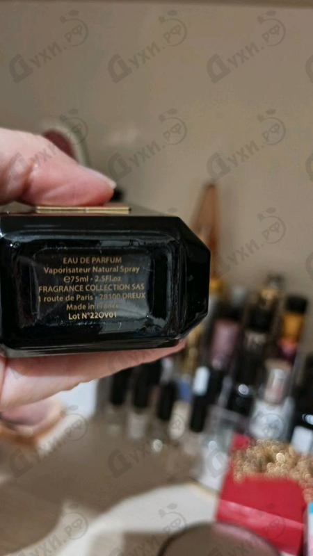 Купить De Young Red от Orlov Paris