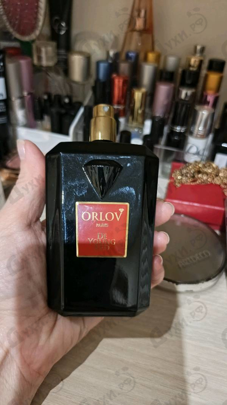 Купить De Young Red от Orlov Paris