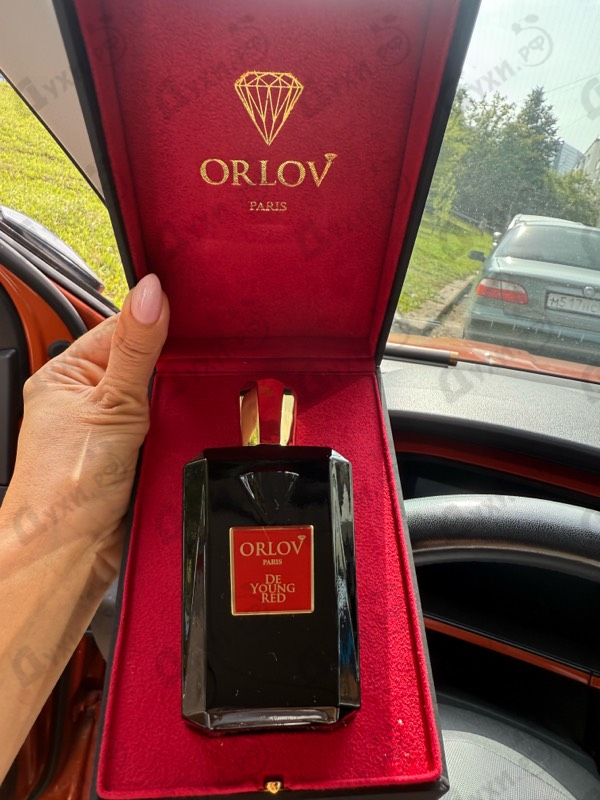 Купить De Young Red от Orlov Paris