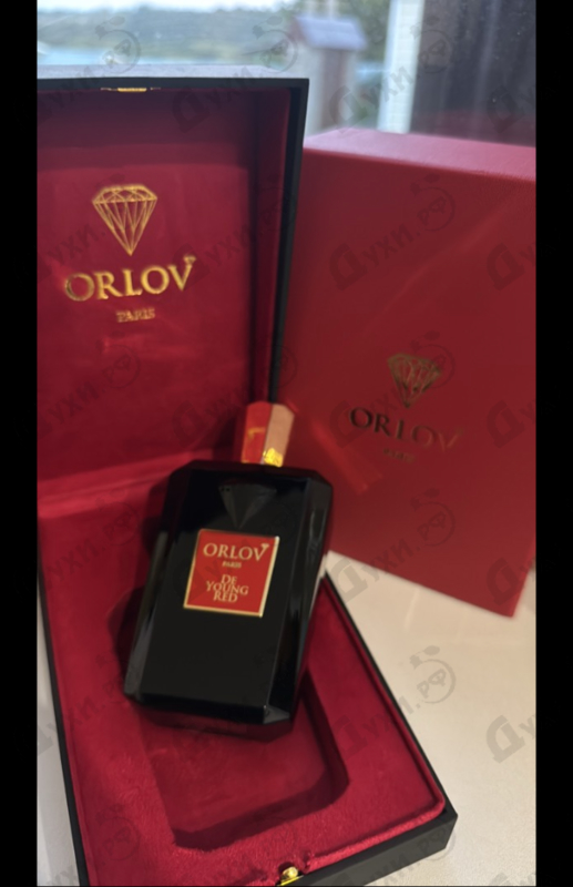Купить De Young Red от Orlov Paris