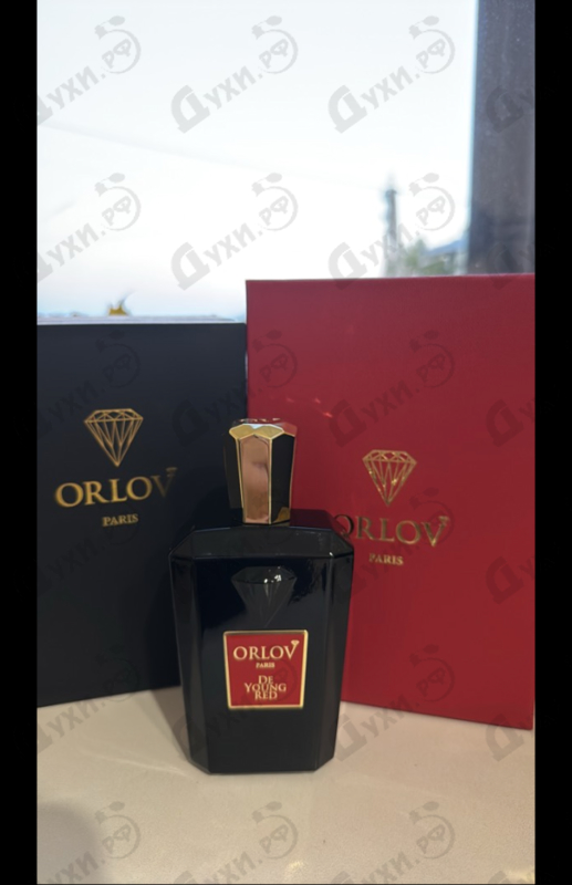 Отзывы Orlov Paris De Young Red