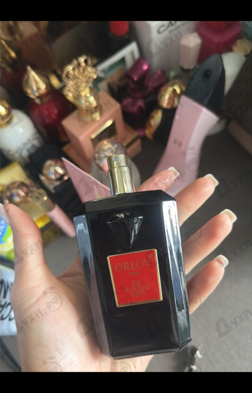 Купить De Young Red от Orlov Paris