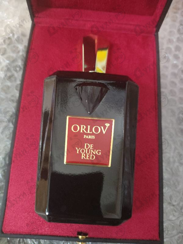 Купить De Young Red от Orlov Paris
