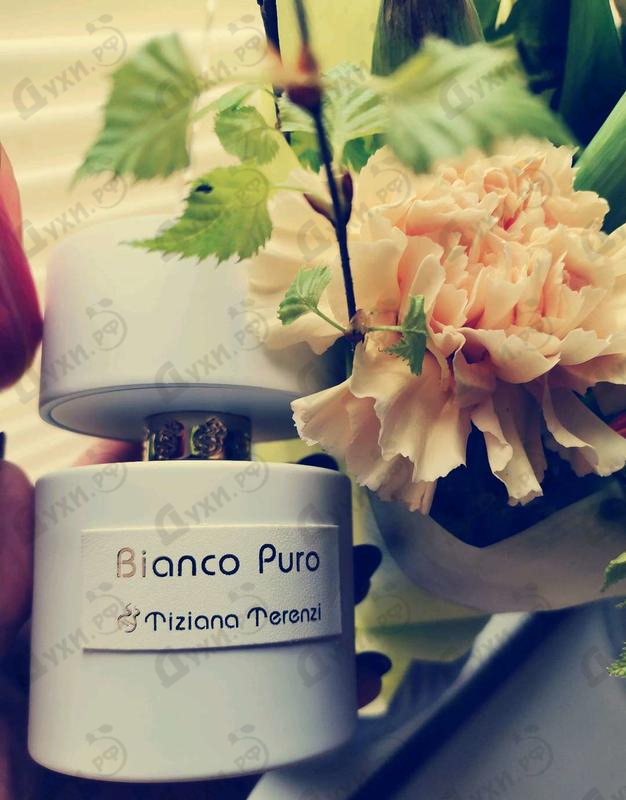 Парфюмерия Bianco Puro от Tiziana Terenzi Отзыв Tiziana Terenzi Bianco Puro