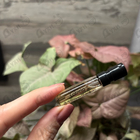 Отзыв Tiziana Terenzi Cabiria