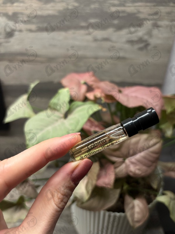 Отзывы Tiziana Terenzi Cabiria