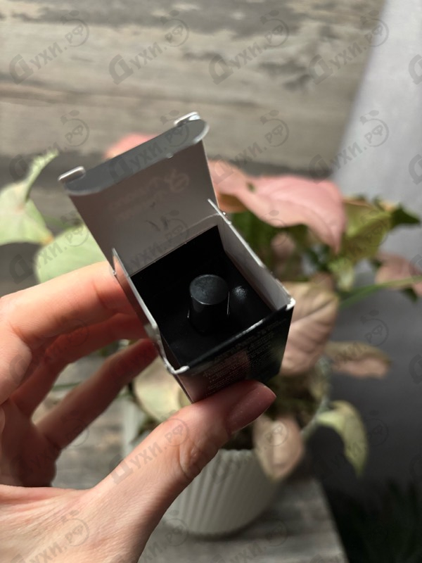 Отзыв Tiziana Terenzi Cabiria