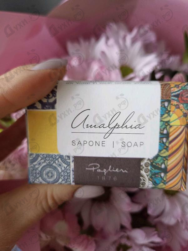 Купить Наборы от Paglieri