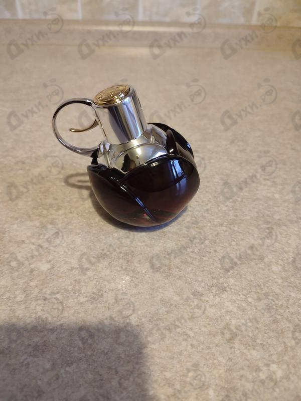 Отзывы Azzaro Wanted Girl By Night Парфюмерия Wanted Girl By Night от Azzaro