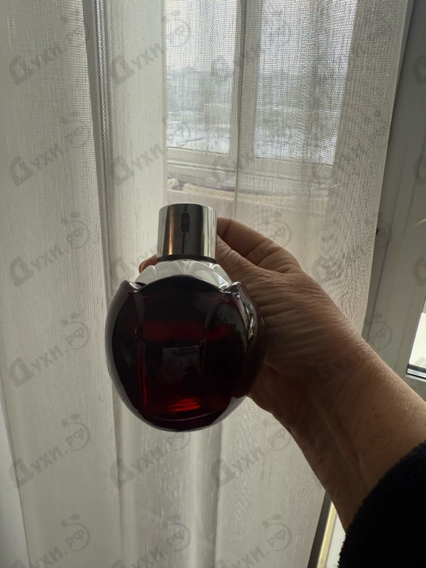 Отзывы Azzaro Wanted Girl By Night