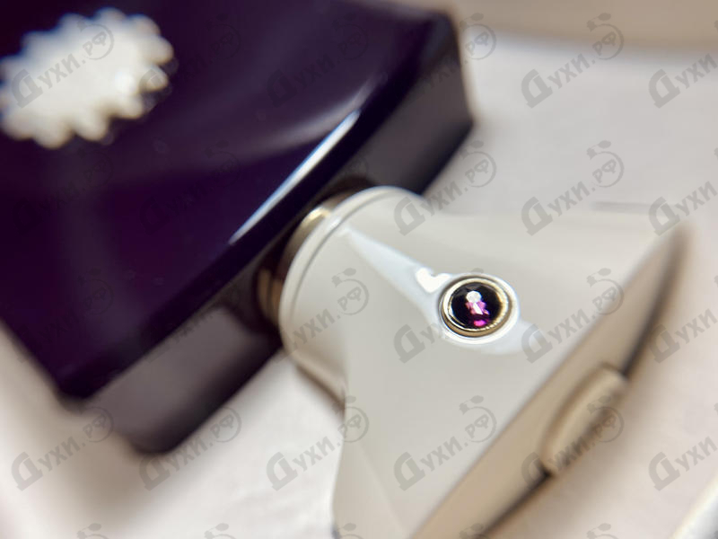 Парфюмерия Amouage Boundless Парфюмерия Boundless от Amouage