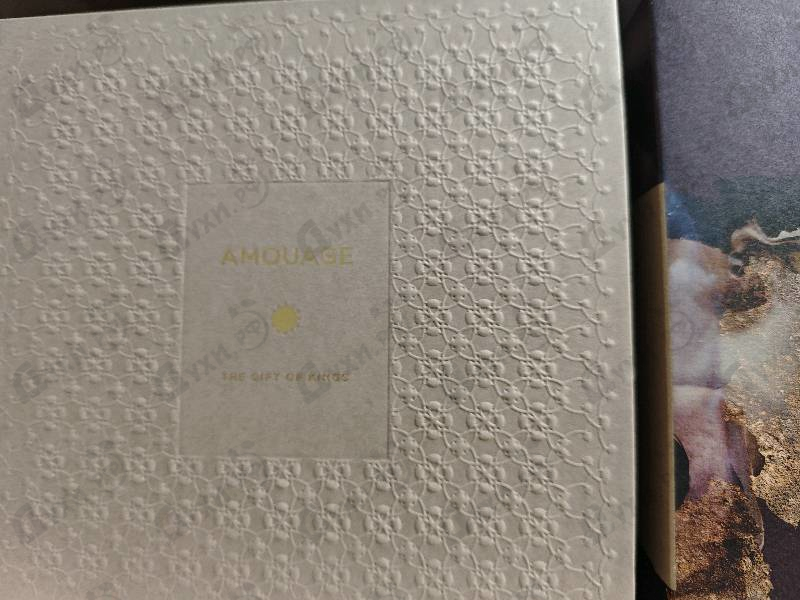 Парфюмерия Boundless от Amouage