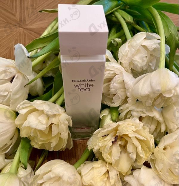 Купить White Tea Ginger Lily от Elizabeth Arden