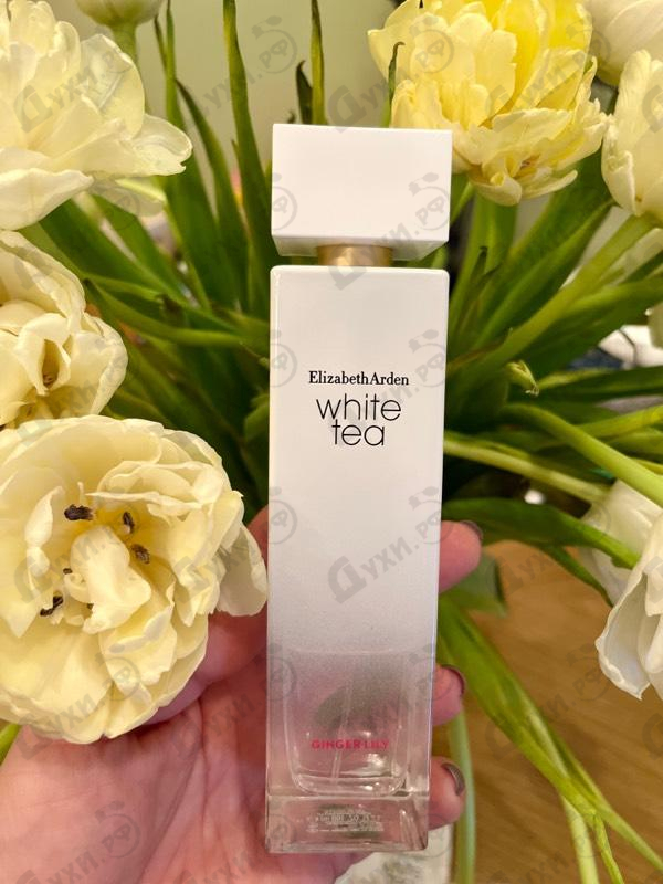 Купить White Tea Ginger Lily от Elizabeth Arden