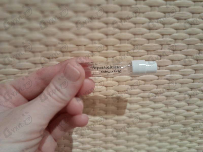 Парфюмерия Maison Francis Kurkdjian Aqua Celestia Cologne Forte