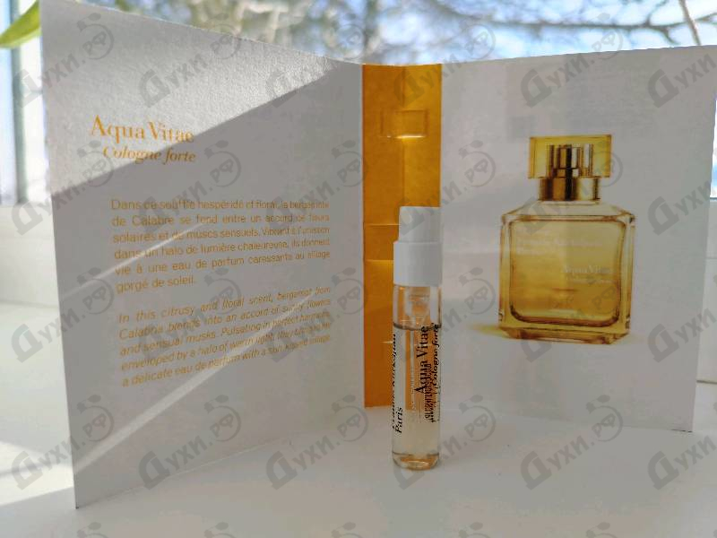 Купить Maison Francis Kurkdjian Aqua Vitae Cologne Forte