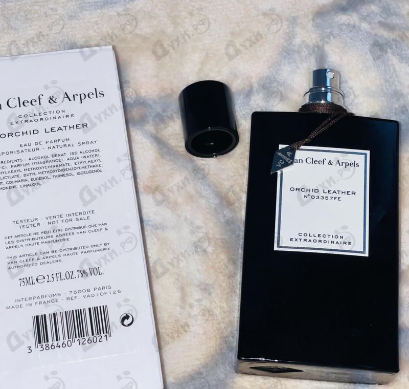 Духи Orchid Leather от Van Cleef & Arpels Купить Van Cleef & Arpels Orchid Leather