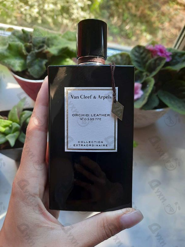 Духи Orchid Leather от Van Cleef & Arpels