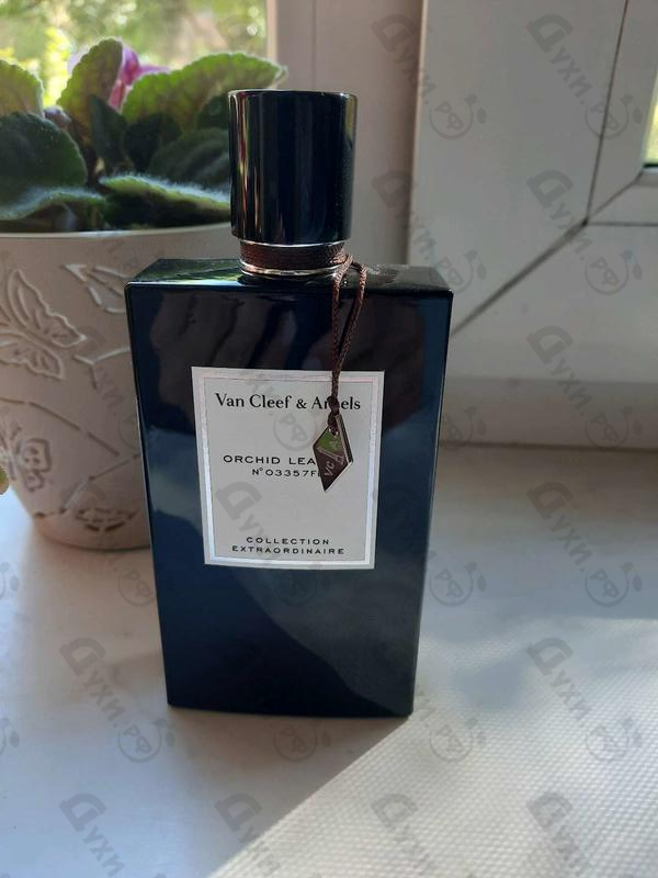 Парфюмерия Orchid Leather от Van Cleef & Arpels
