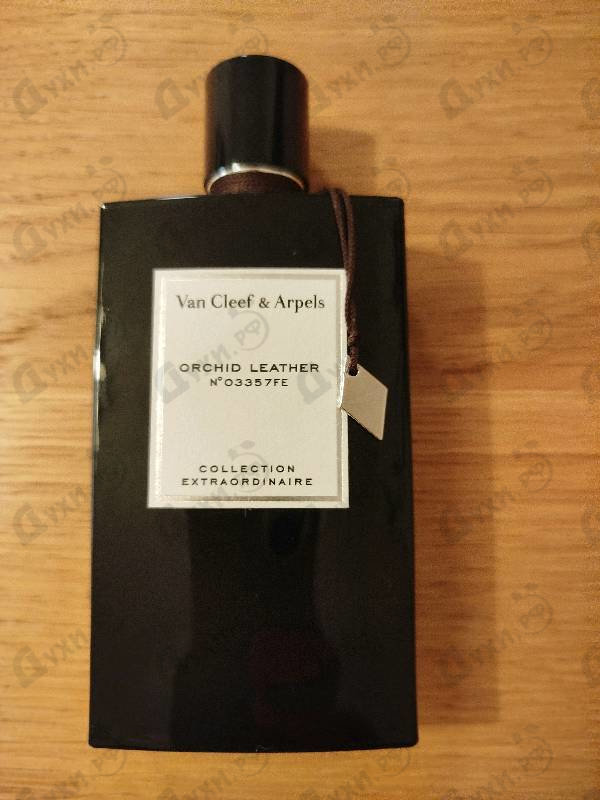 Парфюмерия Orchid Leather от Van Cleef & Arpels