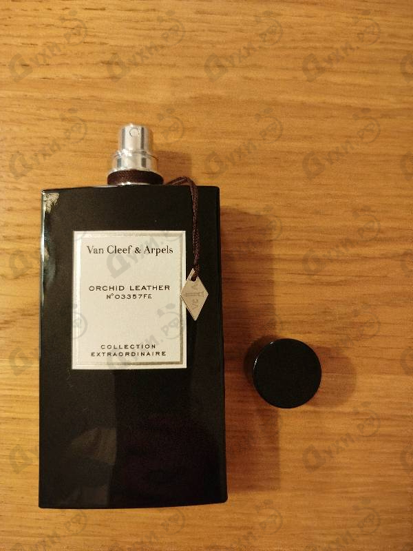 Отзывы Van Cleef & Arpels Orchid Leather