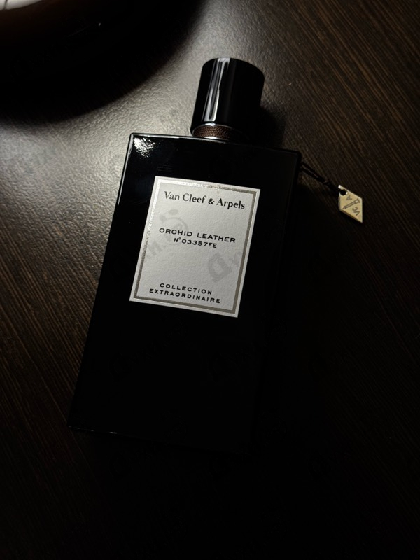 Купить Orchid Leather от Van Cleef & Arpels