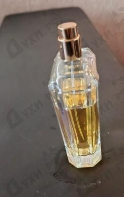 Купить Empower You от Orlov Paris