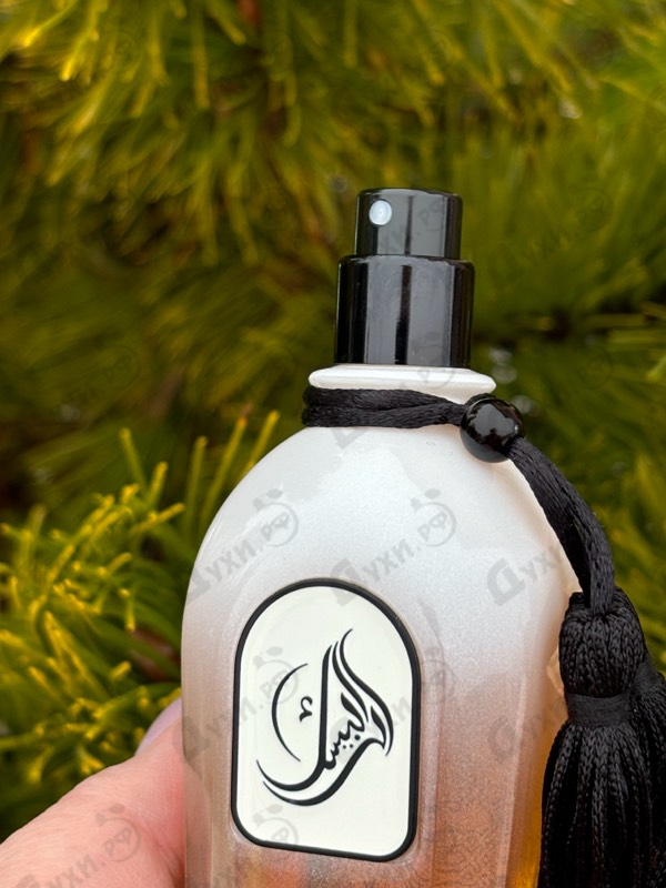 Купить Pearl от Arabesque