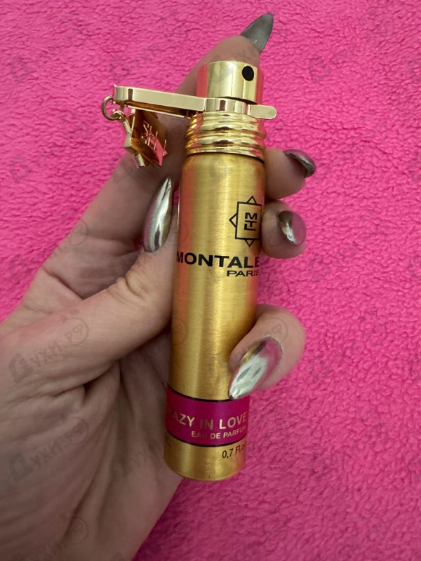 Купить Crazy In Love от Montale