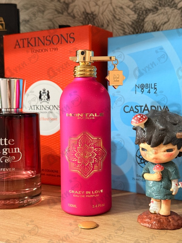 Купить Crazy In Love от Montale