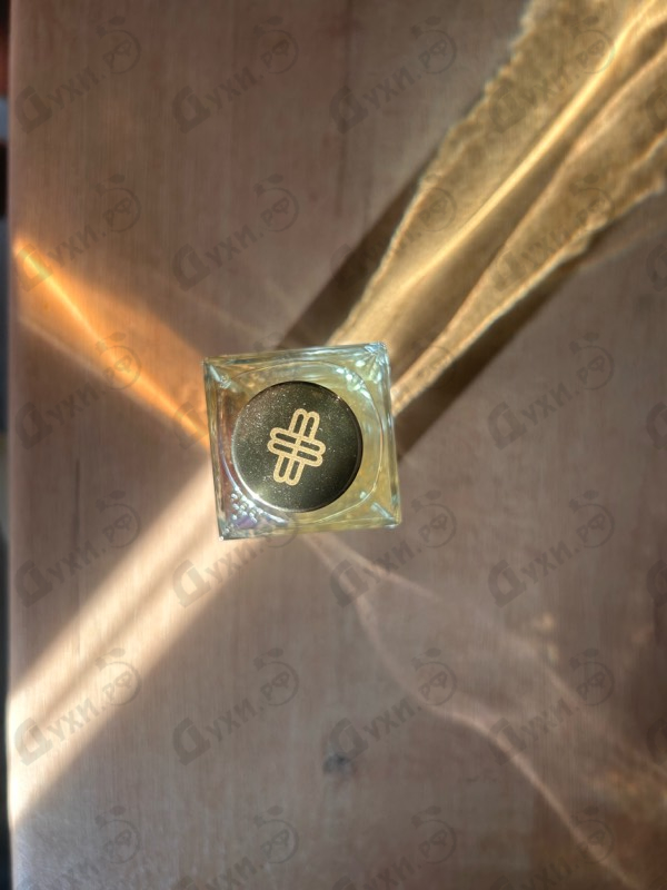 Купить Ganymede от Marc-Antoine Barrois