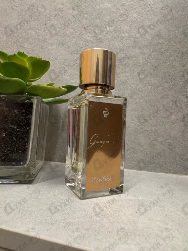 Купить Ganymede от Marc-Antoine Barrois