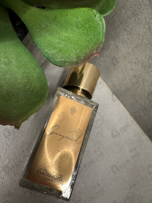 Купить Ganymede от Marc-Antoine Barrois