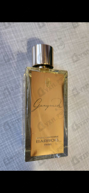 Купить Ganymede от Marc-Antoine Barrois