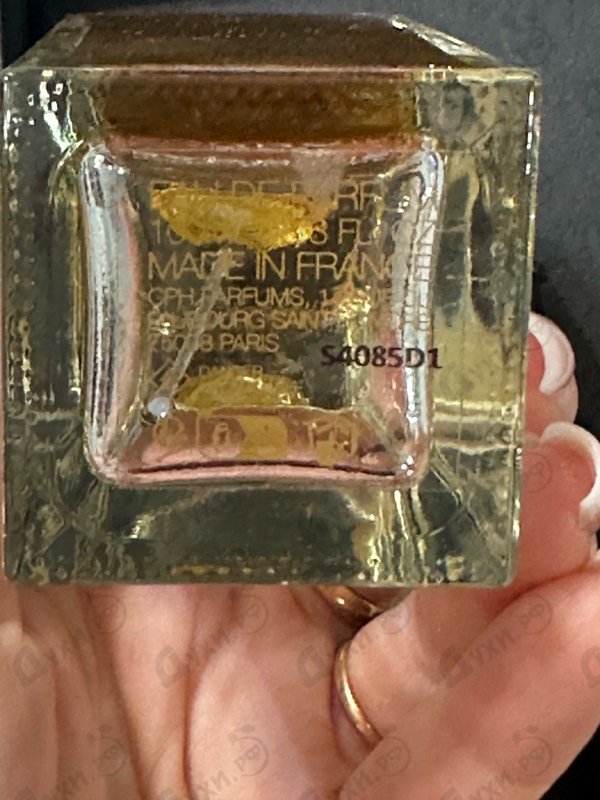 Купить Ganymede от Marc-Antoine Barrois